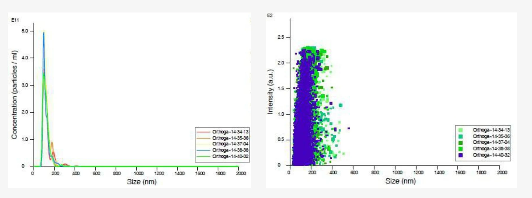 NTA assay results: particle concentration by size, and intensity by size scatter plot
